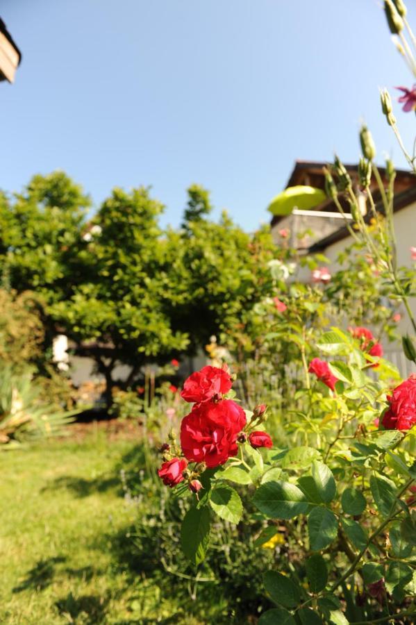 Apartment Apartment-haus Gundelfinger *